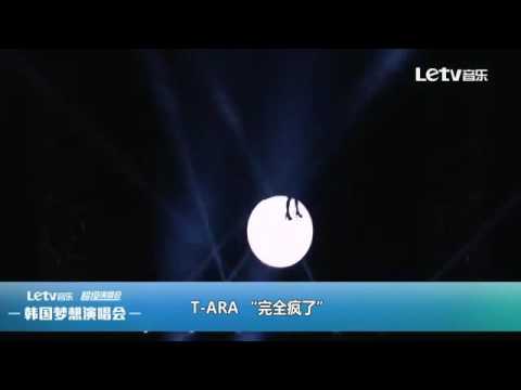T-ara so crazy