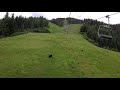 Bears At Whistler Bike Park