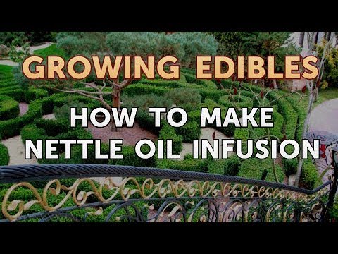 How to Grow Mangosteen From Seed