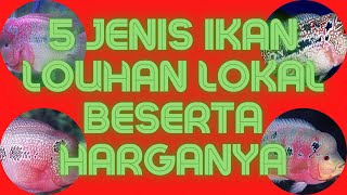 Download lagu Rekomendasi Bagi Pecinta Louhan ! 5 Jenis Ikan Louhan Lokal Yang Paling Diminati Beserta Harganya mp3 Download lagu Rekomendasi Bagi Pecinta Louhan ! 5 Jenis Ikan Louhan Lokal Yang Paling Diminati Beserta Harganya mp3