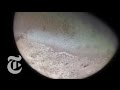 A Captured Ice Moon Out There The New York Times