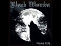 Black Mamba - T.V Eye (The Stooges Cover) 