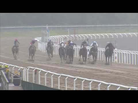 Plantstepsdream 210825