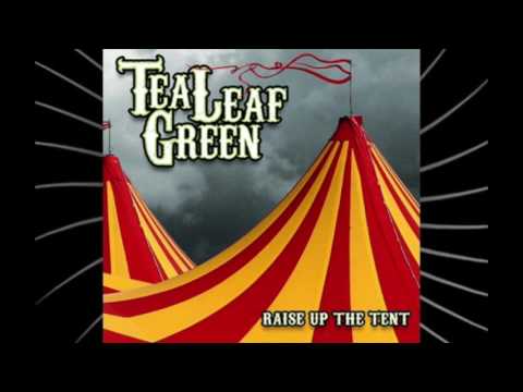Stick To The Shallows - Tea Leaf Green