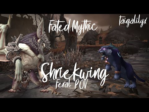 FATED MYTHIC Shriekwing! Feral Druid POV [Stream Highlight]