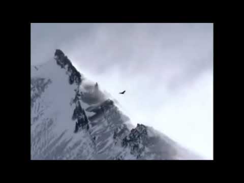 Lagu Natal"Gloria Trio"Selamat Datang Penebus'ku 2021