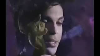 Sexy MF &amp; Damn U &amp; I Wanna Melt With U