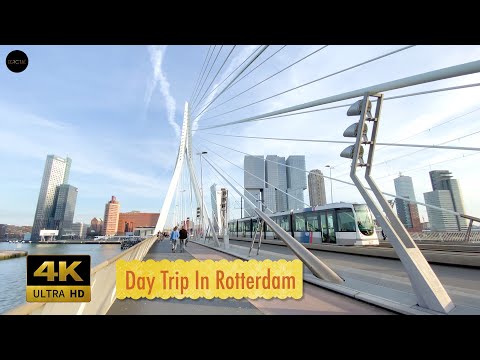 One Day In Rotterdam | Walking Tour (4k Ultra HD) – With Captions