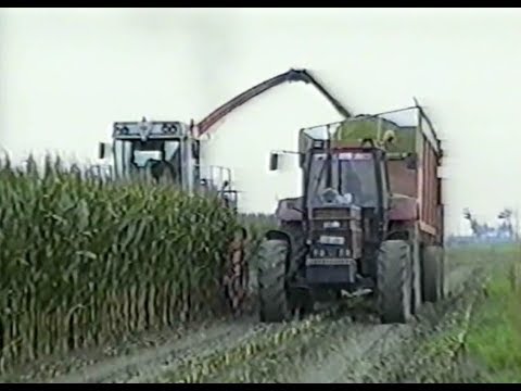 Loonw. Soete-Feys - Mannekensvere - Mengele SF 6500 - International 1255 XL