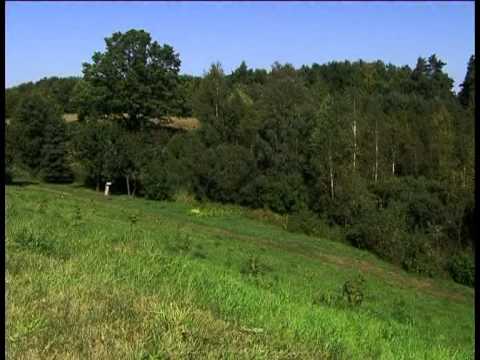 Plattówka - Agroturystyka na Mazurach Zachodnich