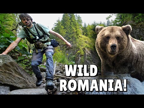 4 Day Bear-country Camping | Exploring a WILD remote Valley with NO Paths! (Ep. 2)