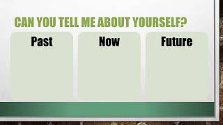 Most Asked Dollar Tree Interview Questions and Answers