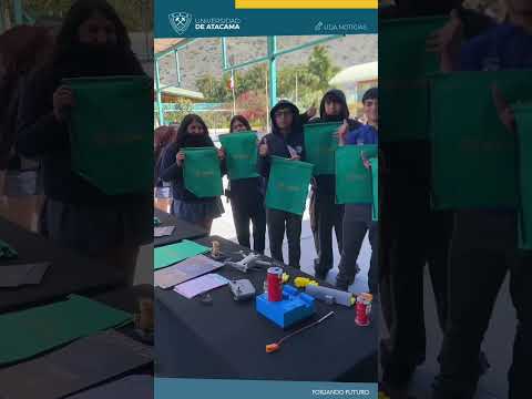 Ensayo PAES en Liceo Bicentenario Alto del Carmen