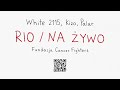 WHITE 2115 Palar Kizo RIO NA ŻYWO