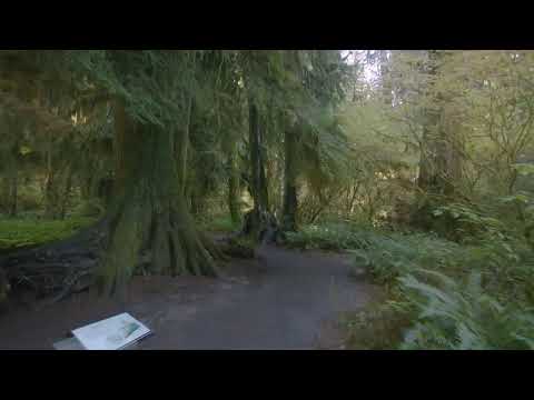 Unite - Globular // Visuals: Gone West