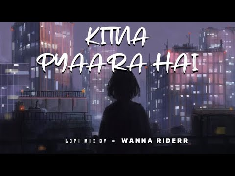 Kitna Pyaara Hai - (Lofi Mix)