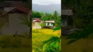 Download lagu mawar bodas Doel sumbang #lagusundaviral mp3 Download lagu mawar bodas Doel sumbang #lagusundaviral mp3