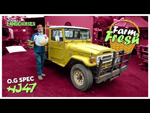 Freshly squeezed mustard straight from the farm - Mr Landcruiser