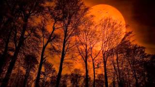 PALOMA SAN BASILIO  ---- NADIE COMO TU