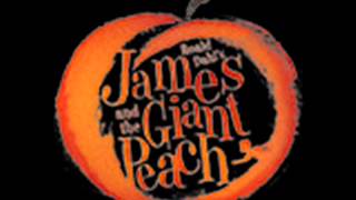 Right Before Your Eyes ~ James and the Giant Peach: The Musical