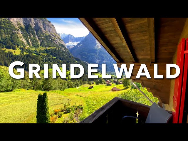 Wymowa wideo od Grindelwald na Angielski