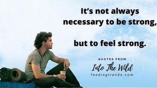 Fleetwood Mac - Dreams / Into the Wild #fleetwoodmac #intothewild