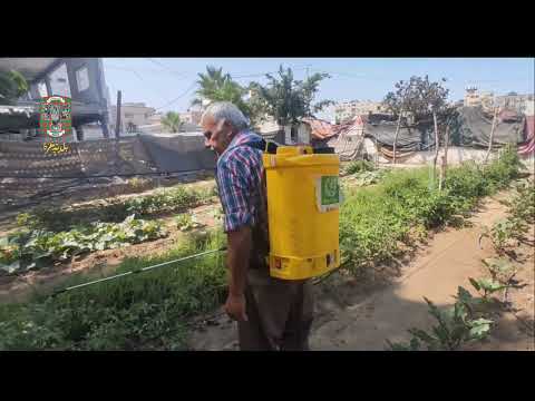 مشروع تشجيع الزراعة الحضرية في مواجهة سياسة التجويع - غزة