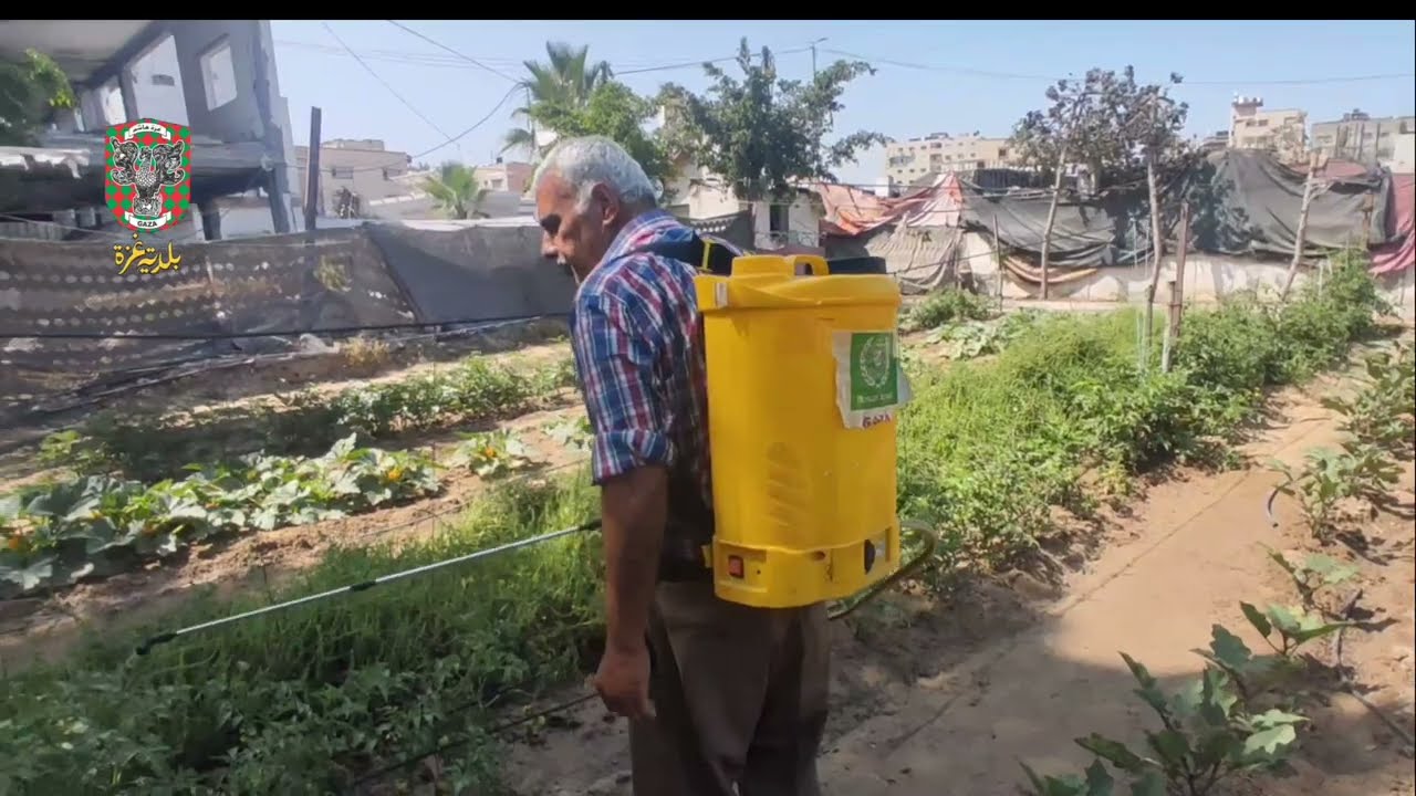 مشروع تشجيع الزراعة الحضرية في مواجهة سياسة التجويع - غزة