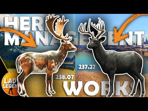Want BIGGER RARES???  Use HERD MANAGEMENT!!! - Call of the Wild