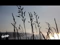Tycho - Epigram