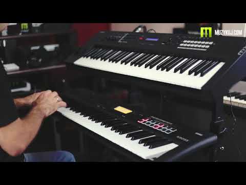 Korg Kross 2 VS Yamaha MX61