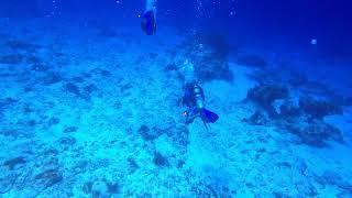 Cozumel 2023, Day 2, Dive 2, Part 2