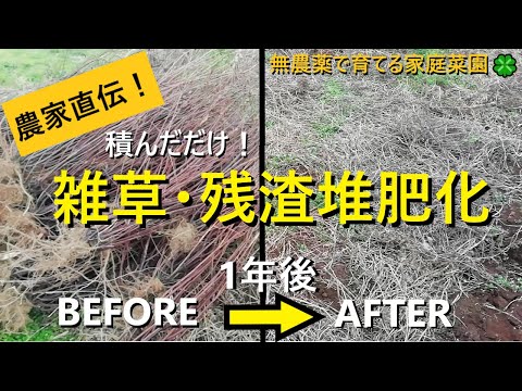 園芸 堆肥化の義務化、2024年はもうすぐです!