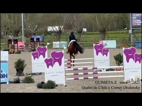 Quimeta Z