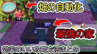【ぽこあポケモン】見逃し厳禁！効率のいい攻略方法まとめ！最強の簡易家の作り方、畑の栽培や延べ棒作りの自動化など
