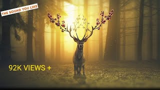 Beyond the clouds - Nikhita Gandhi, A R Rahman