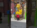 Jordan Armani Meets Big Bird And Gets His Autograph Sesameplace Sandiego Bigbird