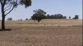 preview picture of video 'Autogyro Cavalon taking off at Rusworth central victoria Australia'