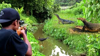 Download lagu Berburu menaklukkan 2 ekor hama biawak jumbo & burung sawah ruak ruak‼️ mp3