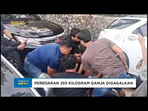 DITRESNARKOBA POLDA SUMUT AMANKAN 2 KURIR YANG AKAN MENGEDARKAN 255 KG GANJA ASAL ACEH