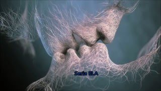 Point of View - American Young (Traduzido em Português)