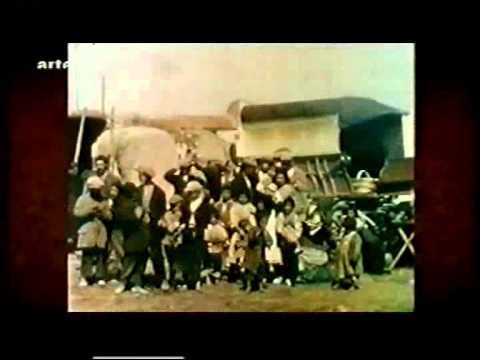 Albert Khan - Saint Marie de lor mer (Sinti u. Roma)