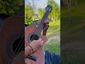Dios no lo quiera #lostresases #requinto #guitarra #lospanchos #triosdemexico