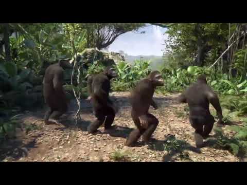 monkeys dancing