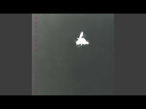 Il sonno di Atys: III. Le sommeil