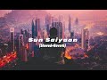 Sun Saiyaan (Slowed+Reverb) | Masroor Fateh Ali Khan | Panther Beats🎧🎧