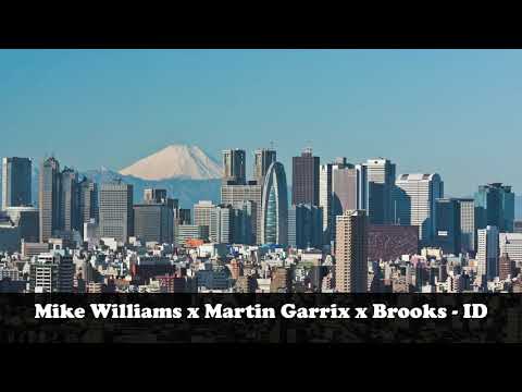 Mike Williams x Martin Garrix x Brooks - ID