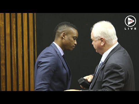 Duduzane Zuma's culpable homicide trial will continue, rules magistrate