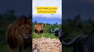 الكارثة الأخيرة:حينترجف التيجان أمام قوة صامتة#shorts