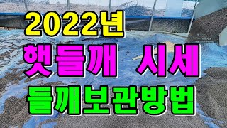들깨 선별하는 방법과 들깨시세 들깨 쩐내 안나게 보관하는 방법